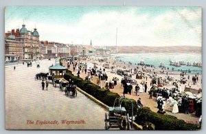 The Esplanade  Boardwalk  Beach  Weymouth  England Postcard  c1915