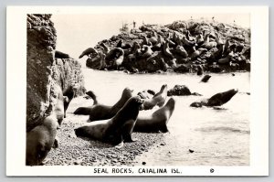 RPPC Seal Rocks Catalina Island CA Real Photo Postcard U25