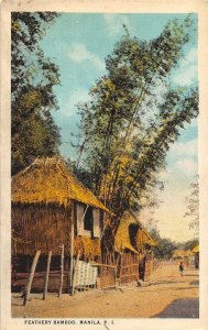 FEATHERY BAMBOO MANILA PHILIPPINES ISLAND POSTCARD (c. 1910)
