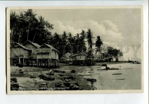 3151567 SINGAPORE MALAY Houses Sea Shore Vintage postcard