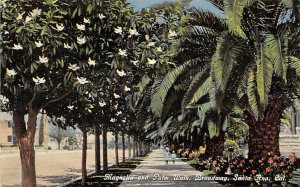 Magnolia and Palm Walk Santa Ana CA