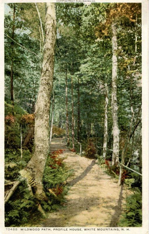 NH - Franconia Notch. Wildwood Path at Profile House