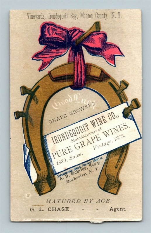 1880 Irondequoit Wine Company Vineyards Monroe County Rochester New York