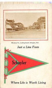 J12/ Schuyler Nebraska RPPC Postcard c1910 Montana Street Stores  221