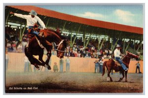 Postcard Ed Scholtz On Bob Cat 