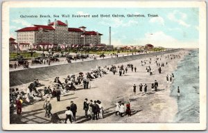 1923 Galveston Beach Seawall Blvd. Hotel Galvez Galveston Texas Posted Postcard