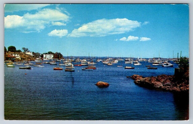 Moored Boats, Marblehead Harbor Massachusetts, Vintage Chrome Postcard