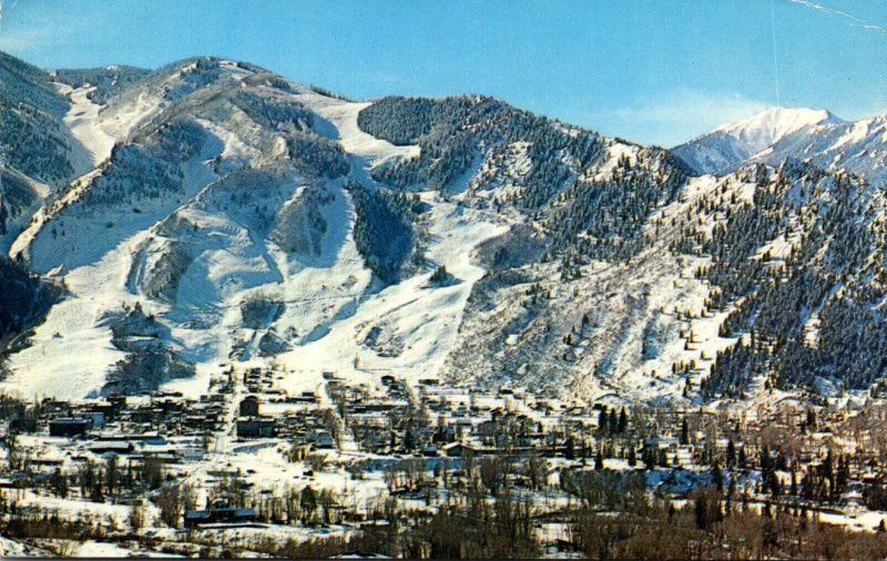 Colorado Aspen Panoramic View 1960