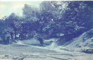 Trinity Springs, Indiana, Springs, Blue Tint Postcard Unused