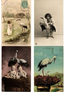 STORKS CIGOGNES Birds 500 Vintage Postcards Mostly pre-1940 (L2840)