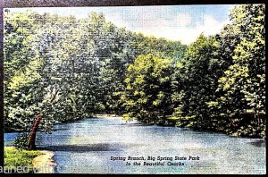 Ozark Mountains, MO - Spring Branch, Big Spring State Park