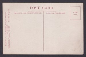 GREAT BRITAIN, Vintage postcard, Humor, A Study in Nuts