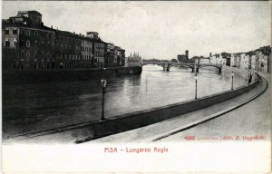 CPA Pisa Lungarno Regio ITALY (803285)