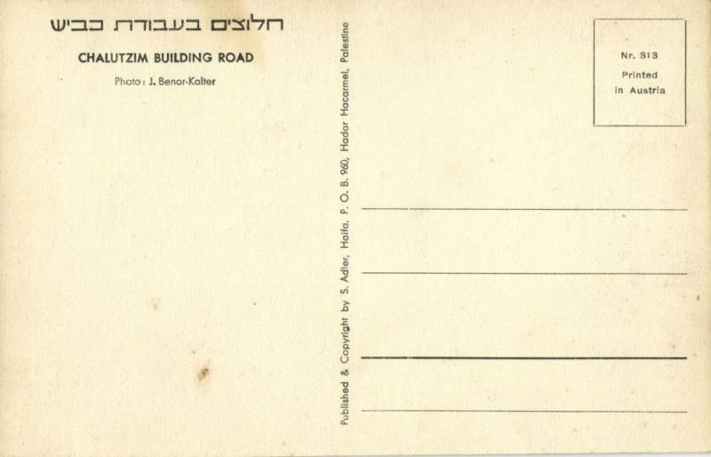 israel, Chalutzim building Road, Jewish Immigrants (1930s) Judaica Postcard