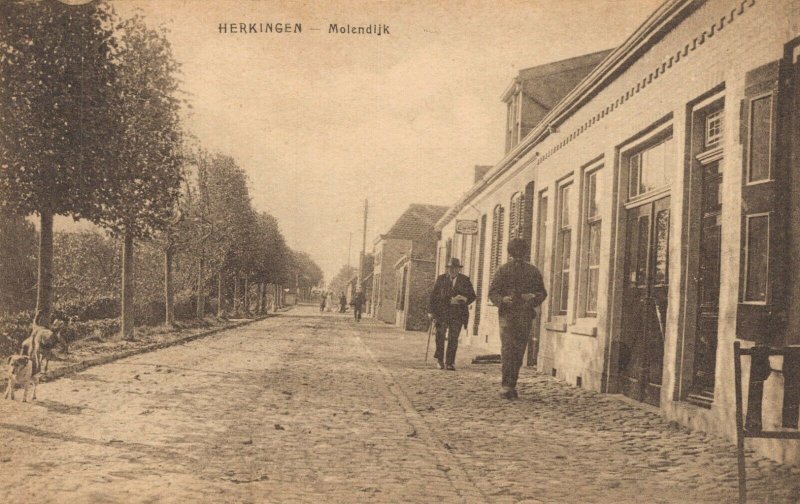 Netherlands Herkingen Molendijk 03.33