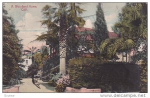 CALIFORNIA, PU-1908; A Woodland Home