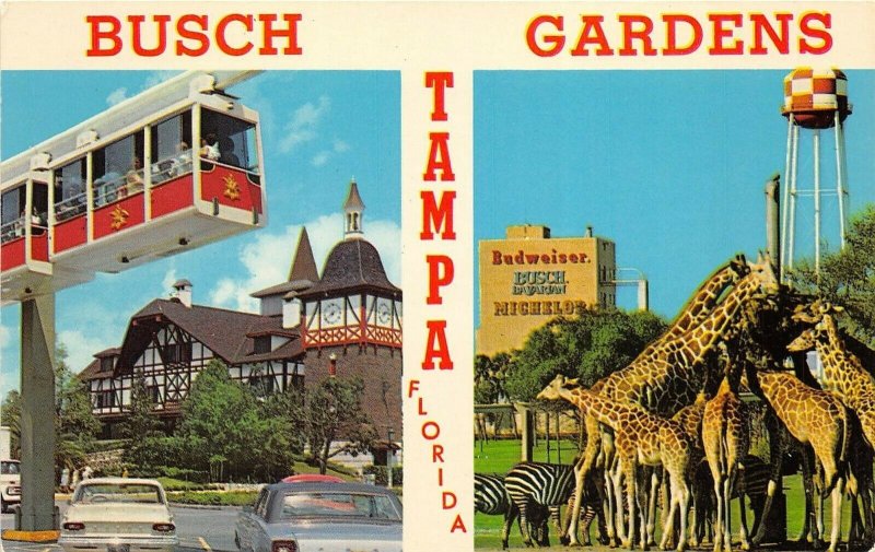 Tampa Florida 1960s Postcard Busch Gardens Skyrail Safari and African Veldt