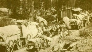 Postcard  RPPC View of Wagon Train, California by Master  A.A. Hart.       Q7