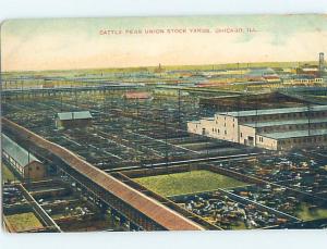 Divided-Back CATTLE PENS AT UNION STOCK YARD Chicago Illinois IL c7125