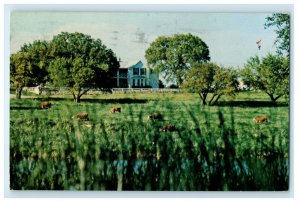 1979 Austin TX, White House Home Of President Mrs. Lyndon Johnson Postcard