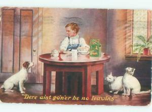 Pre-Linen DOG AND CATS WATCH BOY EATING CEREAL AT TABLE AC5327