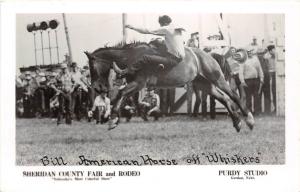 D57/ Sheridan County Nebraska Ne Real Photo RPPC Postcard c1950s Gordon Rodeo 1