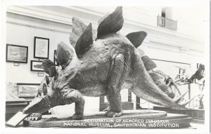 RPPC Restoration of Armored Dinosaur National Museum Smithsonian Institution