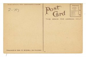 Exaggeration - A Mammoth Belleflower Apple