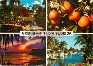 Modern Postcard Greeting from Florida