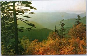 Fall Color Scene - foliage - from the top of the Smokies