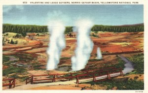 Vintage Postcard Valentine & Lodge Geyser Norris Basin Yellowstone National Park