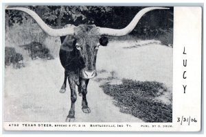 Bartlesville Indiana IN Postcard Texas Steer Indian Territory OK 1906 Antique