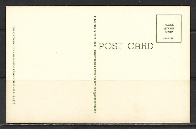 Florida, Miami - Fabulous Parrot Jungle - [FL-669]