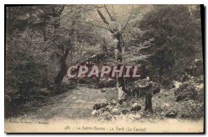Old Postcard La Sainte Baume La Foret Le Canape