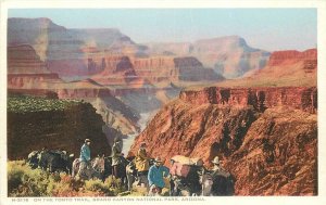 Postcard RPPC Arizona Tonto Trail Grand Canyon Harvey Phostint 23-2504