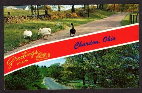 OH Greetings From Chardon Ohio Banner Postcard Birds Scenic view