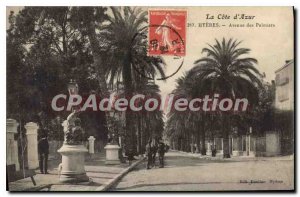 Postcard Old Hyeres Avenue des Palmiers
