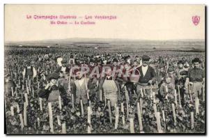 Old Postcard Folklore Vine Harvest Picking A Ordon TOP