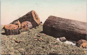 Petrified Logs Petrified Forest National Monument Adamana AZ Postcard G10