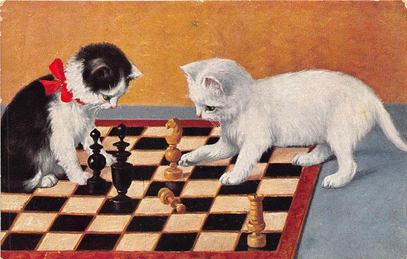 Cats Playing Chess Game Postcard