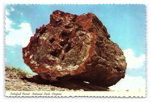 Petrified Forest National Park Arizona Postcard Continental View Card Large Log