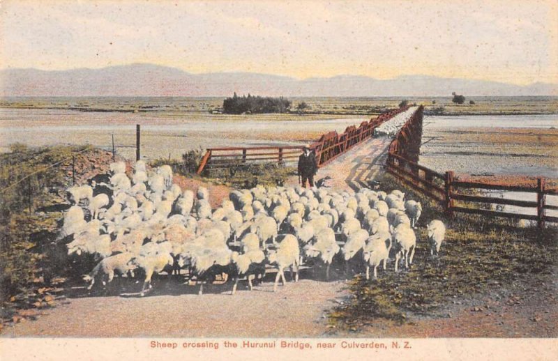 Culverden New Zealand Hurunul Bridge Sheep Vintage Postcard AA46358