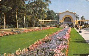 Largest Outdoor Organ in the World Balboa Park San Diego California  