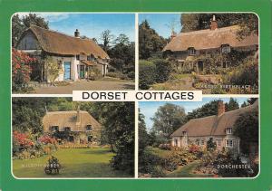 BR90231 dorset cottages dorchester cerne abbas  uk