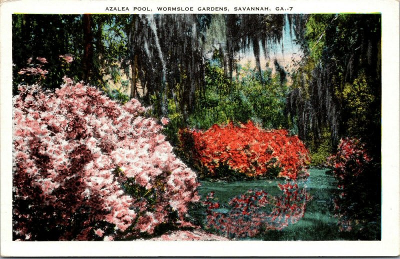 Vtg Savannah Georgia GA Azalea Pool Wormsloe Gardens 1920s White Border Postcard 