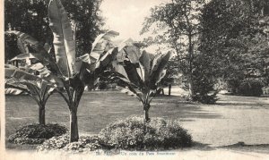 Vintage Postcard 1910's Pau Un Coin Du Parc Beanmont Pyrénées-Atlantiques France