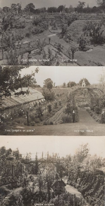 The Garden Of Eden 3x Real Photo Postcard s