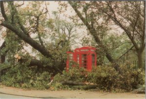 Essex Postcard -1987 Hurricane, Westcliff-On-Sea, Telephone Kiosk Damage RR15568