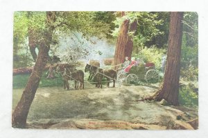 C.1910 Yosemite Valley, Ca. Stage Coach Vintage Postcard P97