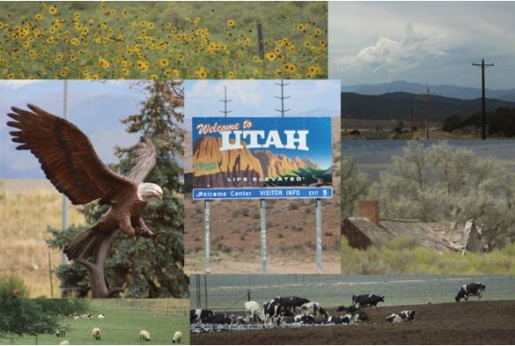 Roadside Scene Postcard (1 each), Road Trip Through Utah Farmland on Highway 15